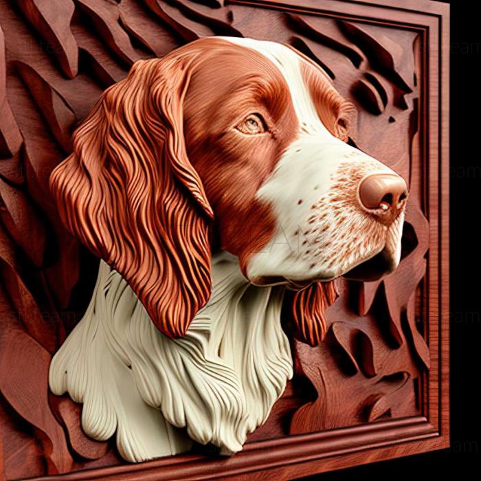 Irish Red and White Setter dog